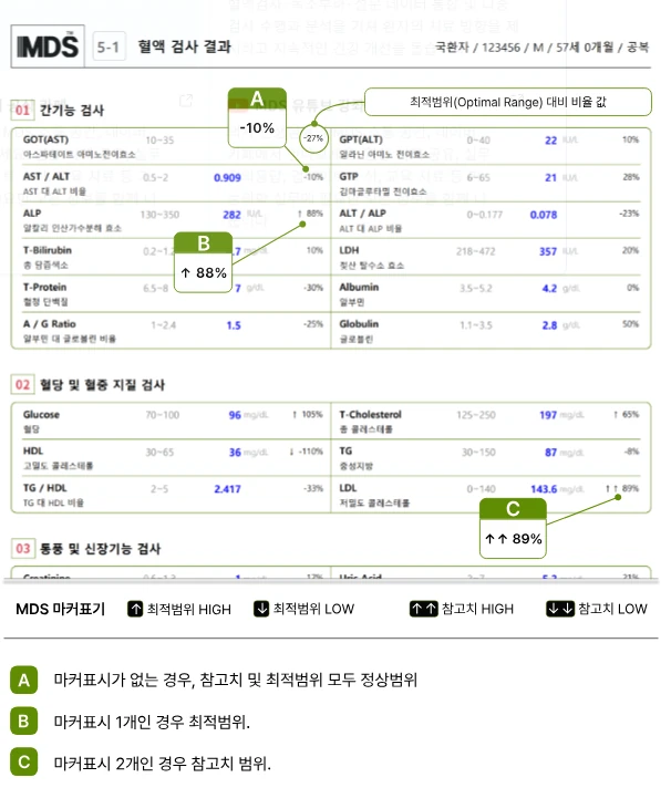 MDS 영양분석 혈액 검사 결과 리포트 예시